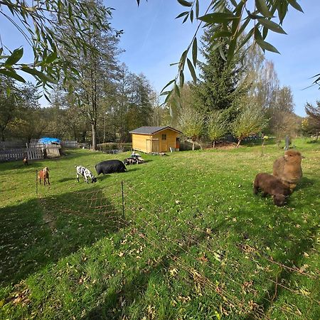 Farma U Lesa Apartman Hlinsko Kültér fotó