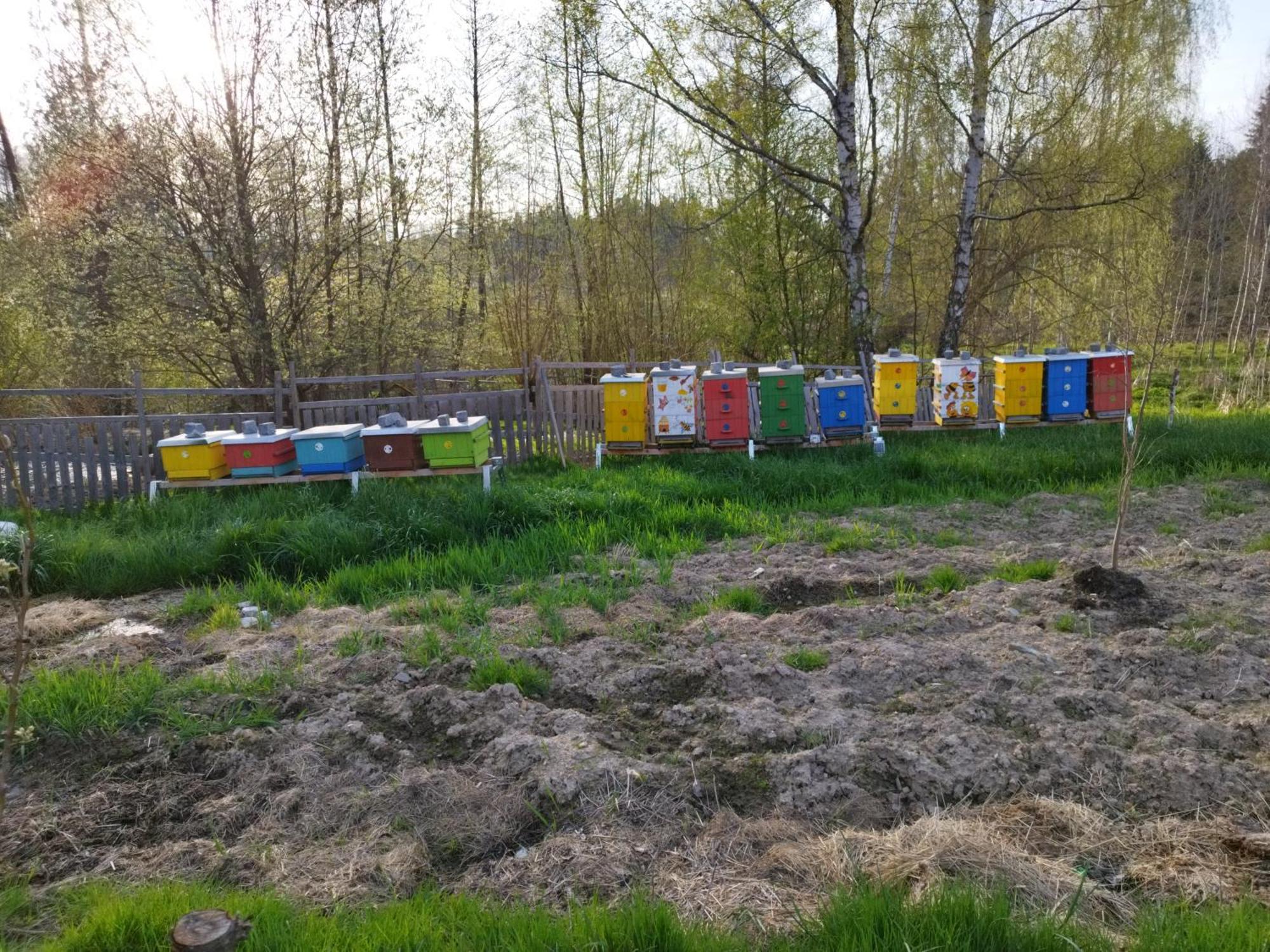 Farma U Lesa Apartman Hlinsko Kültér fotó
