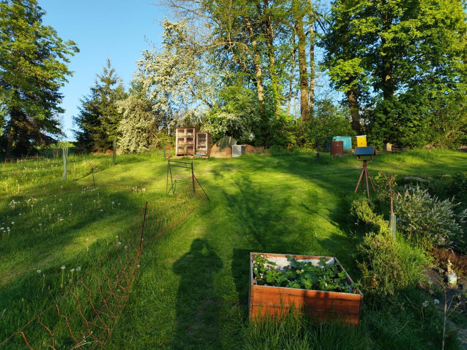 Farma U Lesa Apartman Hlinsko Kültér fotó